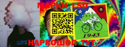 прущие грибы Пенза