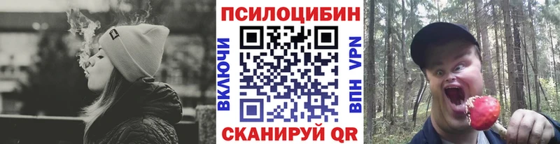 Псилоцибиновые грибы Psilocybe  закладка  Севастополь 